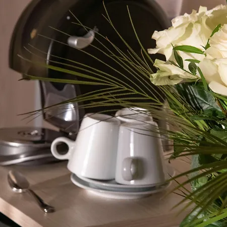 Western Alba فندق